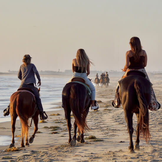 Ashville Heights St Lucia